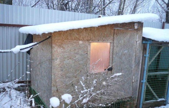Зима несушкам не страшна если соорудить зимний курятник