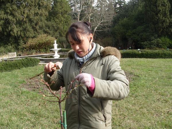 Сезонные работы в саду и огороде конец февраля - начало марта