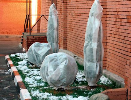 10 дел в саду, которые нужно успеть сделать до апреля