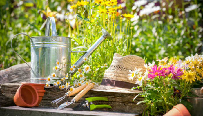 5 эффективных методов борьбы с сорняками