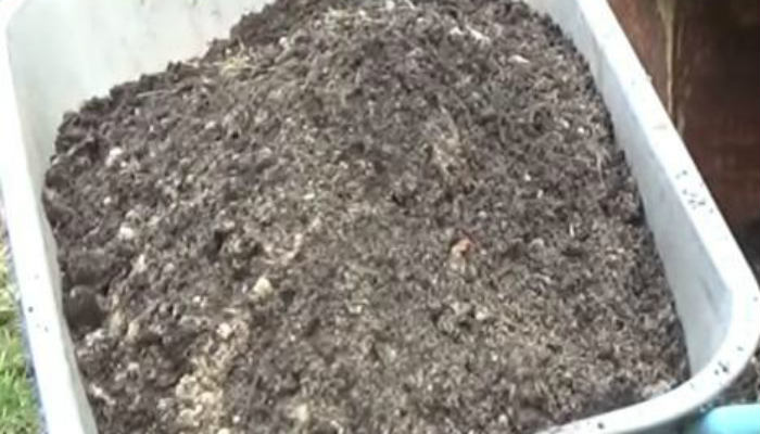 Куриный помет - польза и бизнес!