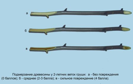 Март: 12 неотложных дел