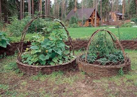 Интересные варианты грядок