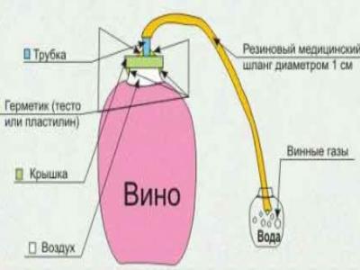 Как самостоятельно сделать вкусное домашнее вино из винограда