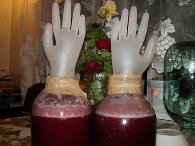 Как самостоятельно сделать вкусное домашнее вино из винограда