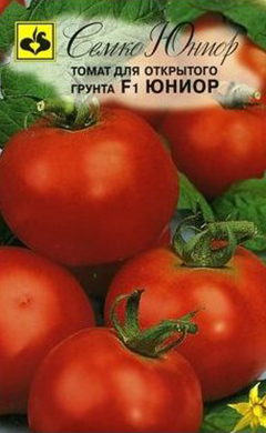 Сорта помидор для теплицы из поликарбоната