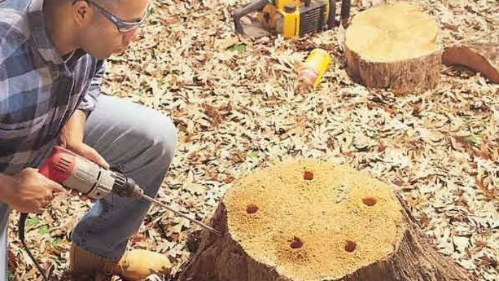 Легкая корчевка пней и борьба с сорняками на участке