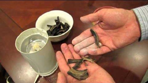 Вот как сделать удобрение для растений из банановой кожуры