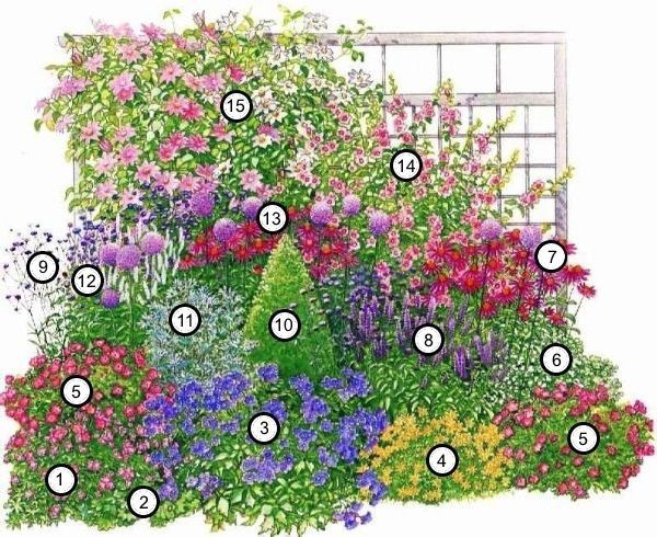 27 цветущих кустарников, которые преобразят ваш сад