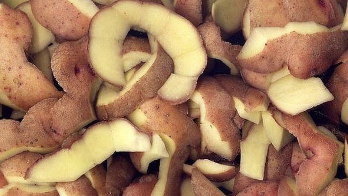 Нужны ли смородине картофельные очистки?