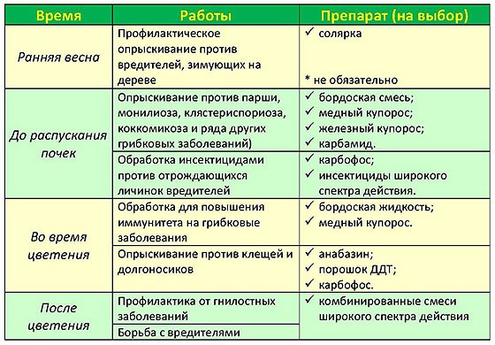 Рекомендации по опрыскиванию сада: время и популярные препараты