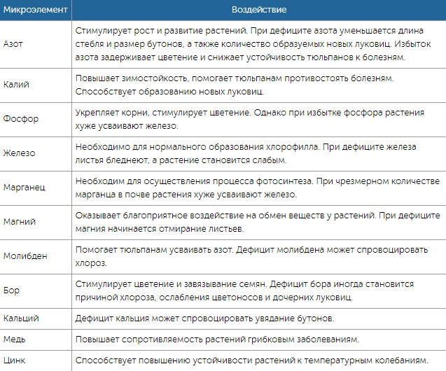 Чем подкормить тюльпаны весной и после цветения
