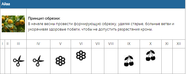 Календарь обрезки плодовых деревьев