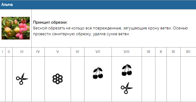 Календарь обрезки плодовых деревьев