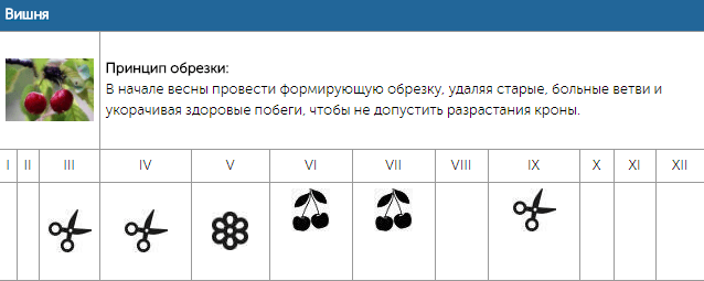 Календарь обрезки плодовых деревьев