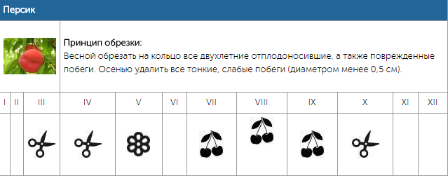 Календарь обрезки плодовых деревьев