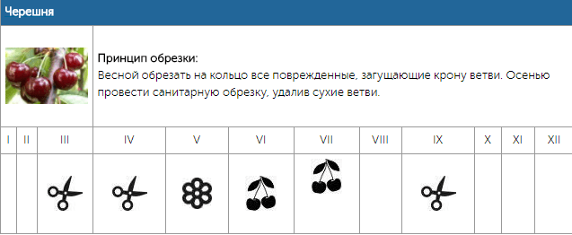 Календарь обрезки плодовых деревьев
