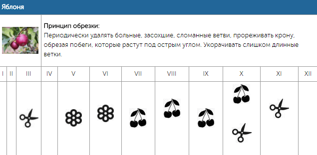 Календарь обрезки плодовых деревьев
