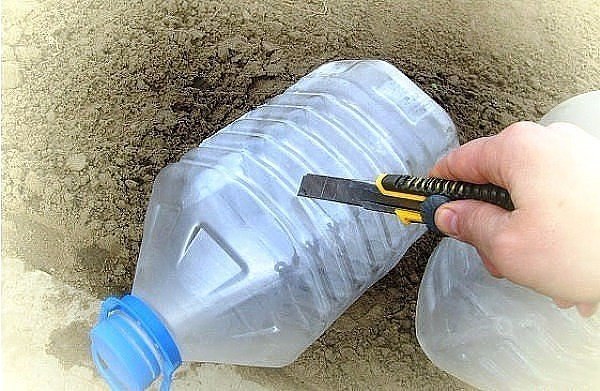 Новый способ — огурцы в бутылках, удобно и выгодно!