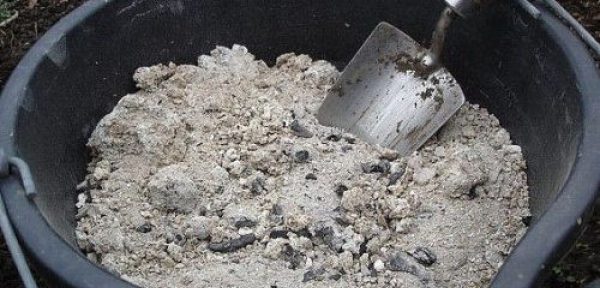 Что необходимо класть а лунку при посадке помидоров? Полезные советы