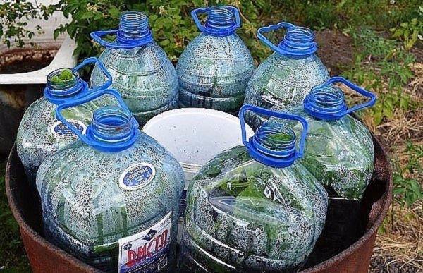Новый способ — огурцы в бутылках, удобно и выгодно!
