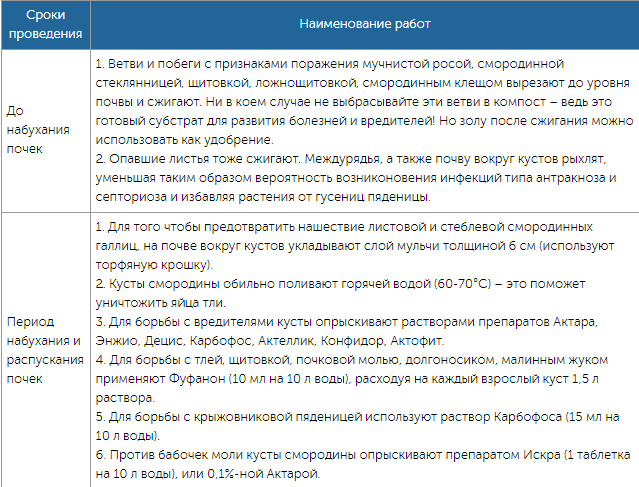 Чем можно обработать сад от болезней и вредителей ранней весной