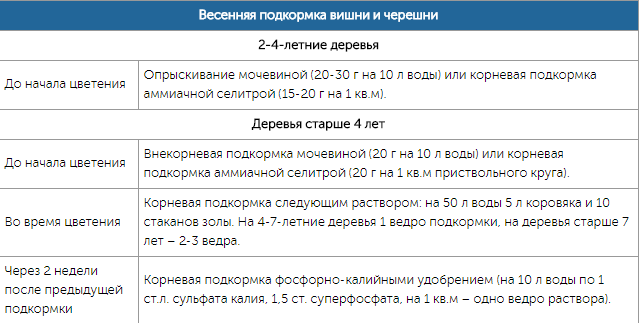 Чем подкармливать вишню и черешню: схемы подкормок с весны до осени