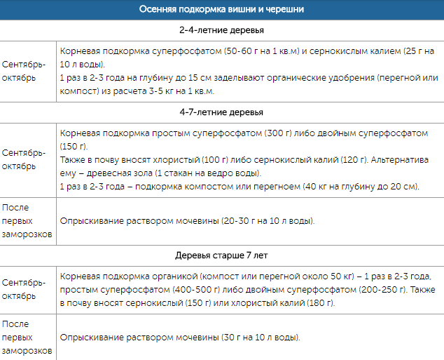 Чем подкармливать вишню и черешню: схемы подкормок с весны до осени