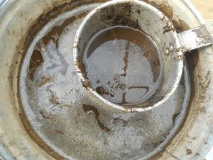 Подкормка кустов смородины