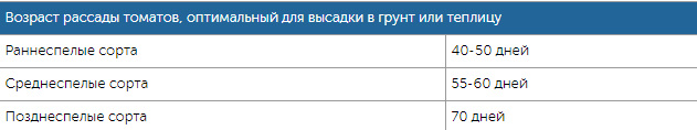 Высадка рассады томатов в грунт и теплицу