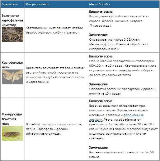 Все огородные вредители в таблицах с описанием, фото и мерами борьбы