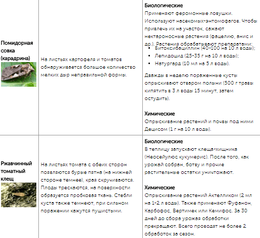Все огородные вредители в таблицах с описанием, фото и мерами борьбы