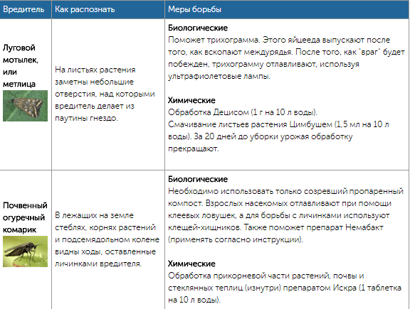 Все огородные вредители в таблицах с описанием, фото и мерами борьбы