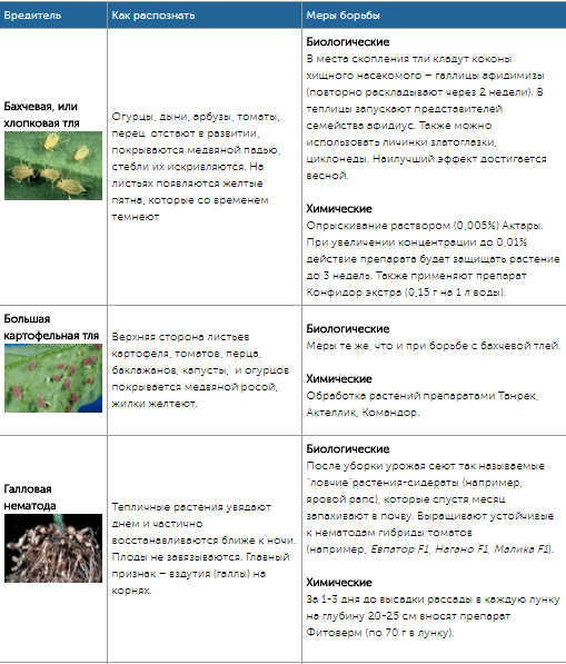 Все огородные вредители в таблицах с описанием, фото и мерами борьбы