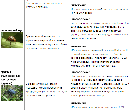 Все огородные вредители в таблицах с описанием, фото и мерами борьбы