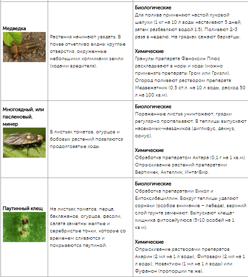 Все огородные вредители в таблицах с описанием, фото и мерами борьбы
