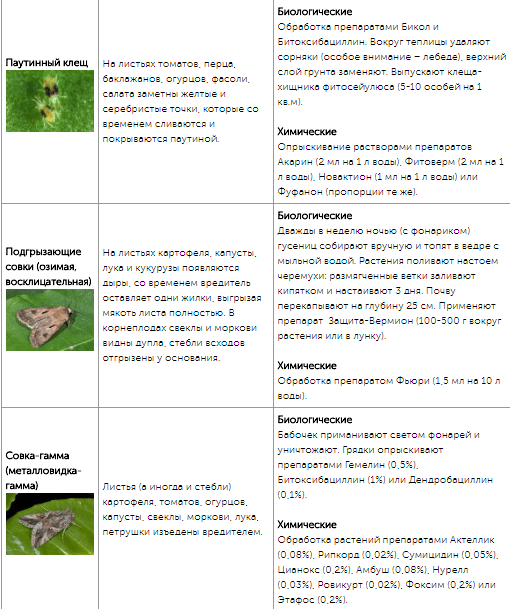Все огородные вредители в таблицах с описанием, фото и мерами борьбы