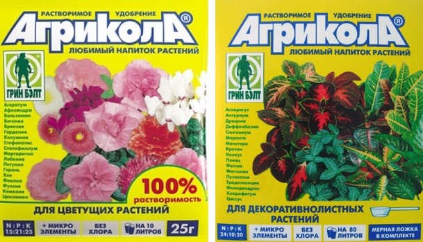 Подкормка петунии – правила выбора удобрений для роста и цветения