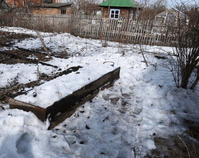 Снег на грядке