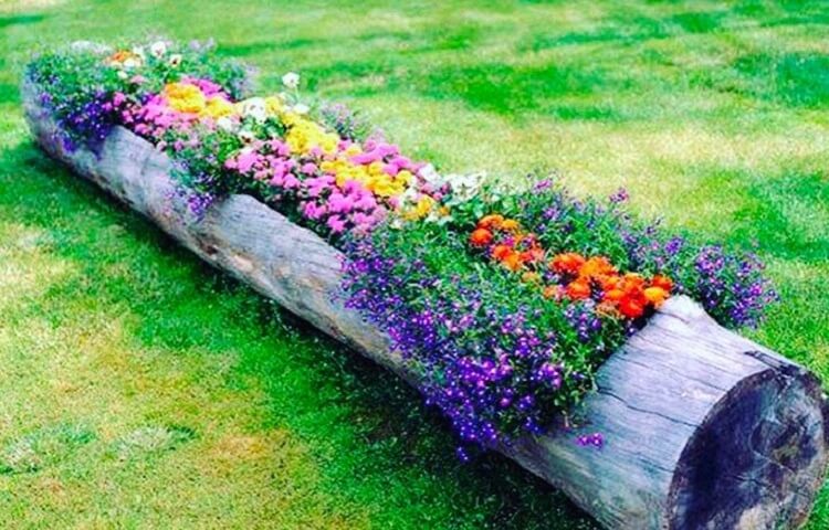 http://prolife.ru.com/wp-content/uploads/2018/03/i7.jpg
