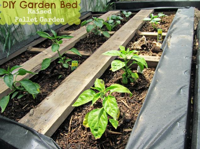 http://prolife.ru.com/wp-content/uploads/2018/06/raisedbed13.jpg