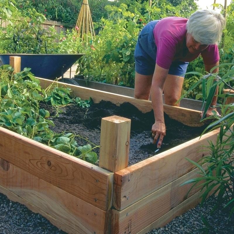http://prolife.ru.com/wp-content/uploads/2018/06/raisedbed15-800x800.jpg