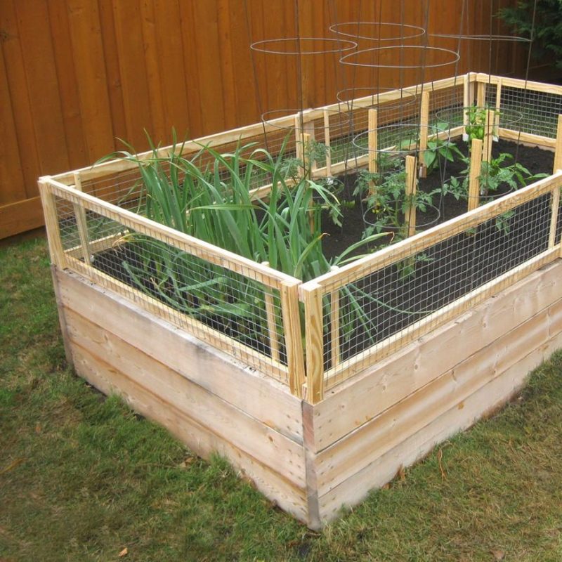 http://prolife.ru.com/wp-content/uploads/2018/06/raisedbed3-800x800.jpg
