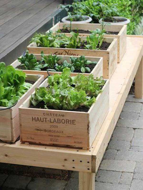 http://prolife.ru.com/wp-content/uploads/2018/06/raisedbed7.jpg