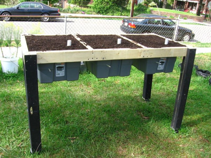 http://prolife.ru.com/wp-content/uploads/2018/06/raisedbed8-800x600.jpg