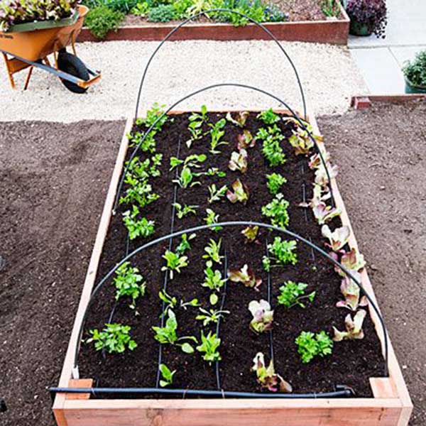 http://prolife.ru.com/wp-content/uploads/2018/06/raisedbed10.jpg