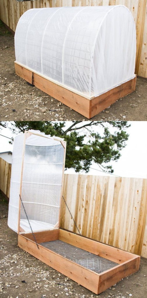 http://prolife.ru.com/wp-content/uploads/2018/06/raisedbed1-506x1024.jpg