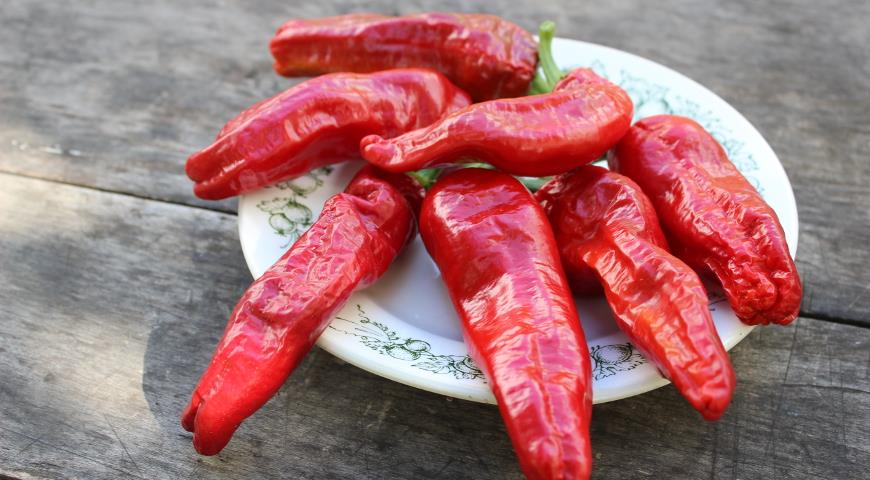 https://www.supersadovnik.ru/binfiles/images/20181101/b1b56e39.jpg