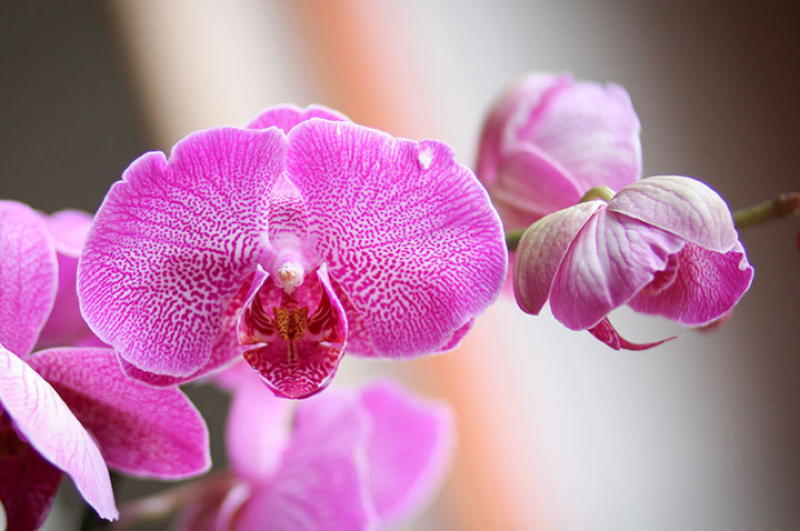 http://prolife.ru.com/wp-content/uploads/2019/03/2-9-1.jpg