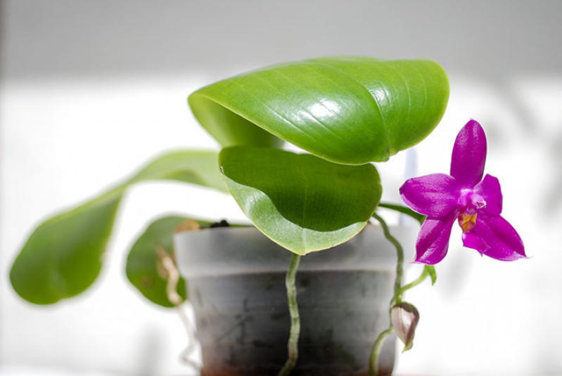 http://prolife.ru.com/wp-content/uploads/2019/03/4-4-1.jpg
